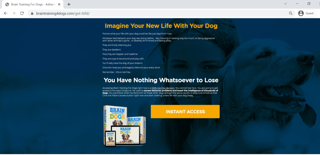 Brain Training for Dogs Reviews Photo