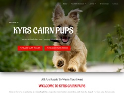 Kyrs Cairn Pups Reviews