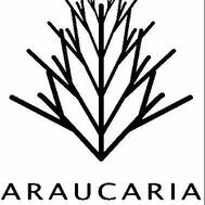 Araucaria Jet Reviews