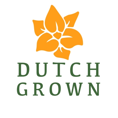 Dutch Grown Reviews