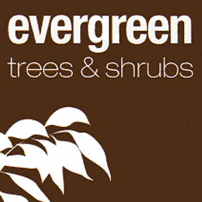 Evergreen Direct Reviews