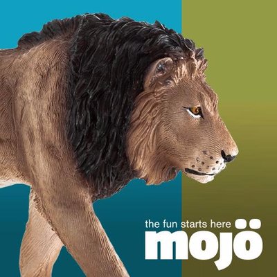 Mojo Fun Reviews