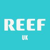 Reef Sandals Reviews