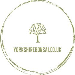 Yorkshire Bonsai Reviews